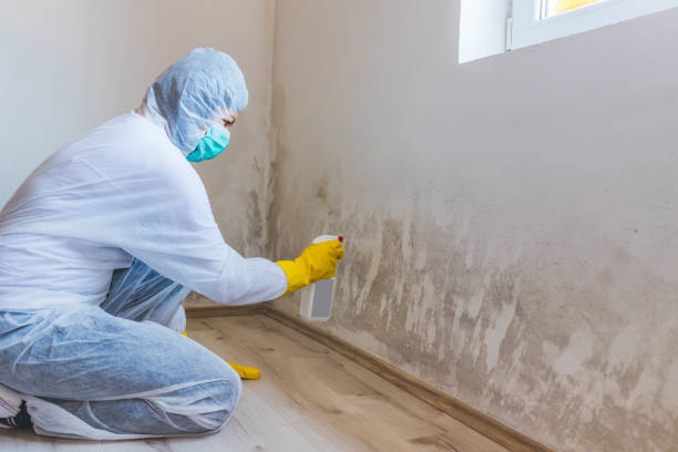 Mold Remediation specialist working in Burnsville
